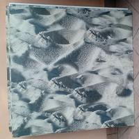 Pannelli pvc stampe varie 60x60 (40 pz.)