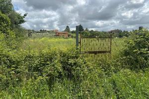 Terreno di 10000 m² a Velletri