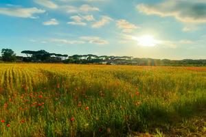 Appartamento luminoso e fresco,Wi-fi,Smart TV