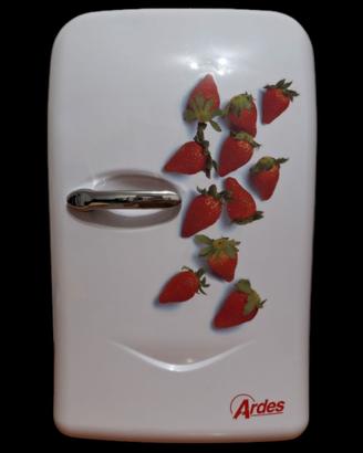 MINI FRIGO PORTATILE ARDES 12V/220V 17.5L