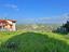 Immagine 9