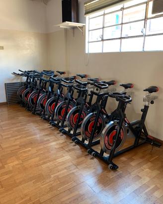Bici da spinning usate/buono stato/anche singole