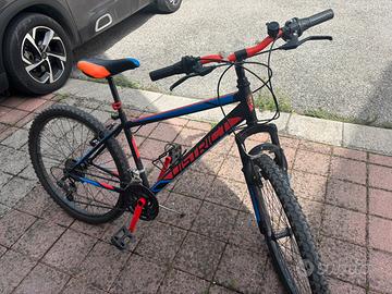 Bici 26 pollici