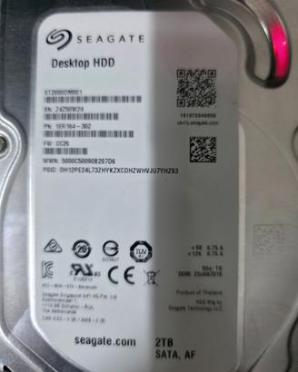 Seagate 2TB da 3,5 pollici