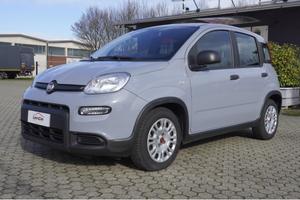 FIAT Panda 1.0 FireFly S&S Hybrid Adatta a Neopate