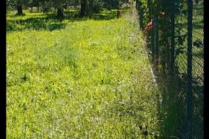 Terreno edificabile tra Velletri e Lariano