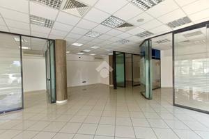 NEGOZIO A ALBA ADRIATICA