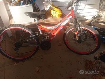 Bicicletta regina