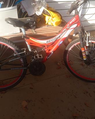 Bicicletta regina