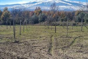 Terreno con rustico a Castiglione di Sicilia