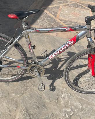 Bici mountain bike