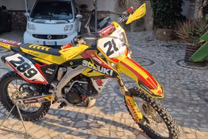 Suzuki rmz 250