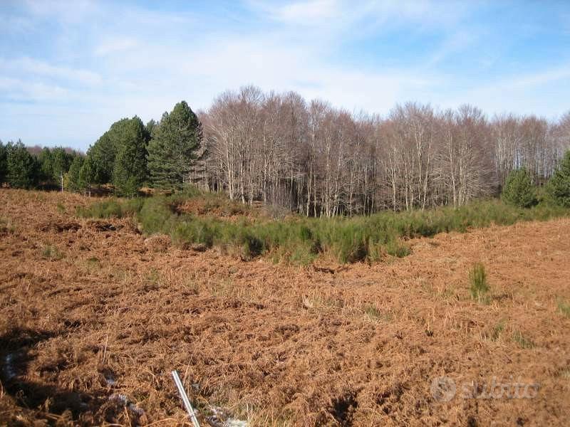 GAMBARIE d'Aspromonte, Terreno Edificabile - Vista 2