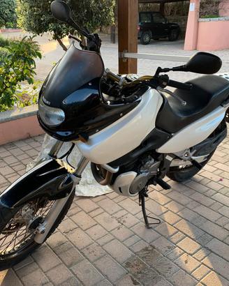 Suzuki XF Freewind 650
