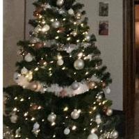 Albero di natale 210h