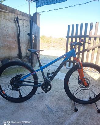 Mtb Cube 24 pollici