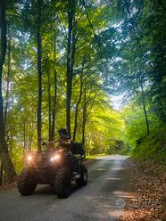 Quad CF Moto CForce 450L