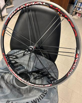 Ruote Campagnolo shamal