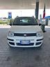 fiat-panda-1-1-active-solo-55-mila-km-