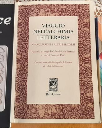 Libri universitari di Letteratura Francese