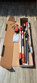 Tagliasiepi a batteria