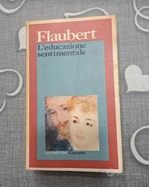 Flaubert l'educazione sentimentale 