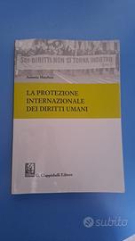 la protezione internazionale dei diritti umani