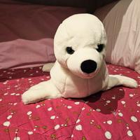 Peluche  foca