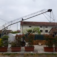 Autocaricante letame