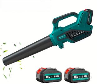 Soffiatore potente turbo grande 2 batterie