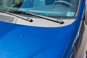 auto megane scinic