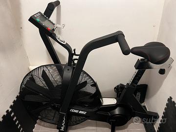 ROGUE Assoult bike ECHO BIKE V2.0