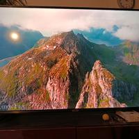 SMART TV TCL 55 POLLICI 
