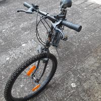 MTB    BOTTECCHIA