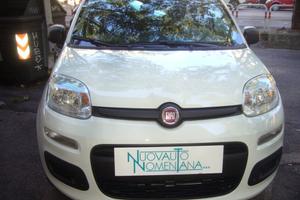 FIAT Panda 1.0 FireFly S&S Hybrid Icon 5°posto P