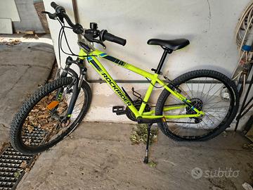 Mountain bike con ammortizzatore
