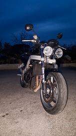 Triumph Speed Triple 955i - 2003