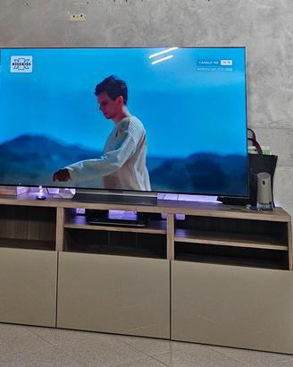Besta mobile tv  