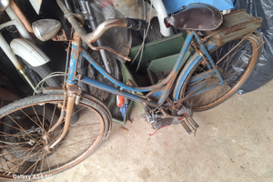 Mosquito Garelli 38 B