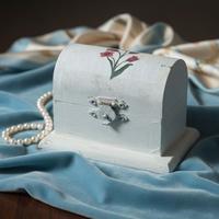 Scrigno Vintage Antico in Legno Bianco