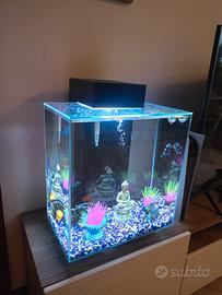 acquario di design moderno 