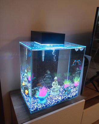 acquario di design moderno 