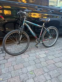 Bici lombardo