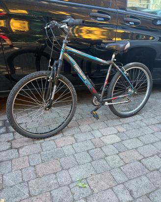 Bici lombardo