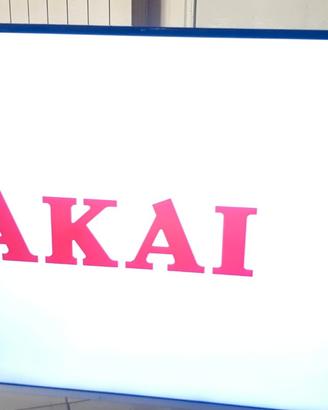 Tv Akai 55 pollici 4k da riparare