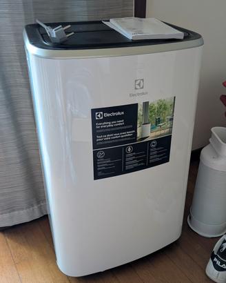Climatizzatore portatile Electrolux 