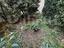 Immagine 30