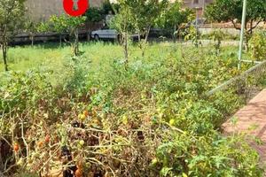 Terreno di 842 m² a Tufino