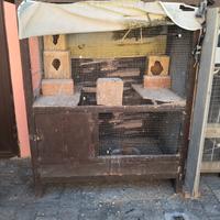 gabbia più parrocchetti 