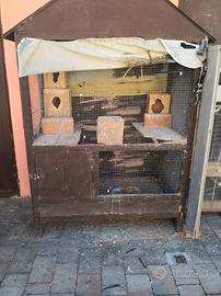 gabbia più parrocchetti 